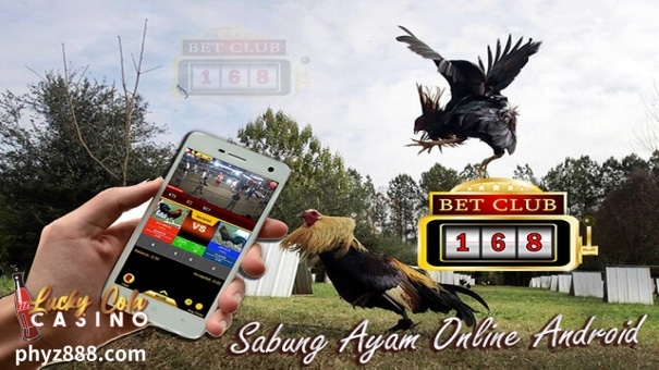 Sabong Live 168 has transformed the traditional sport of cockfighting into a modern digital experience, attracting over 75% of enthusiasts who now prefer online platforms.